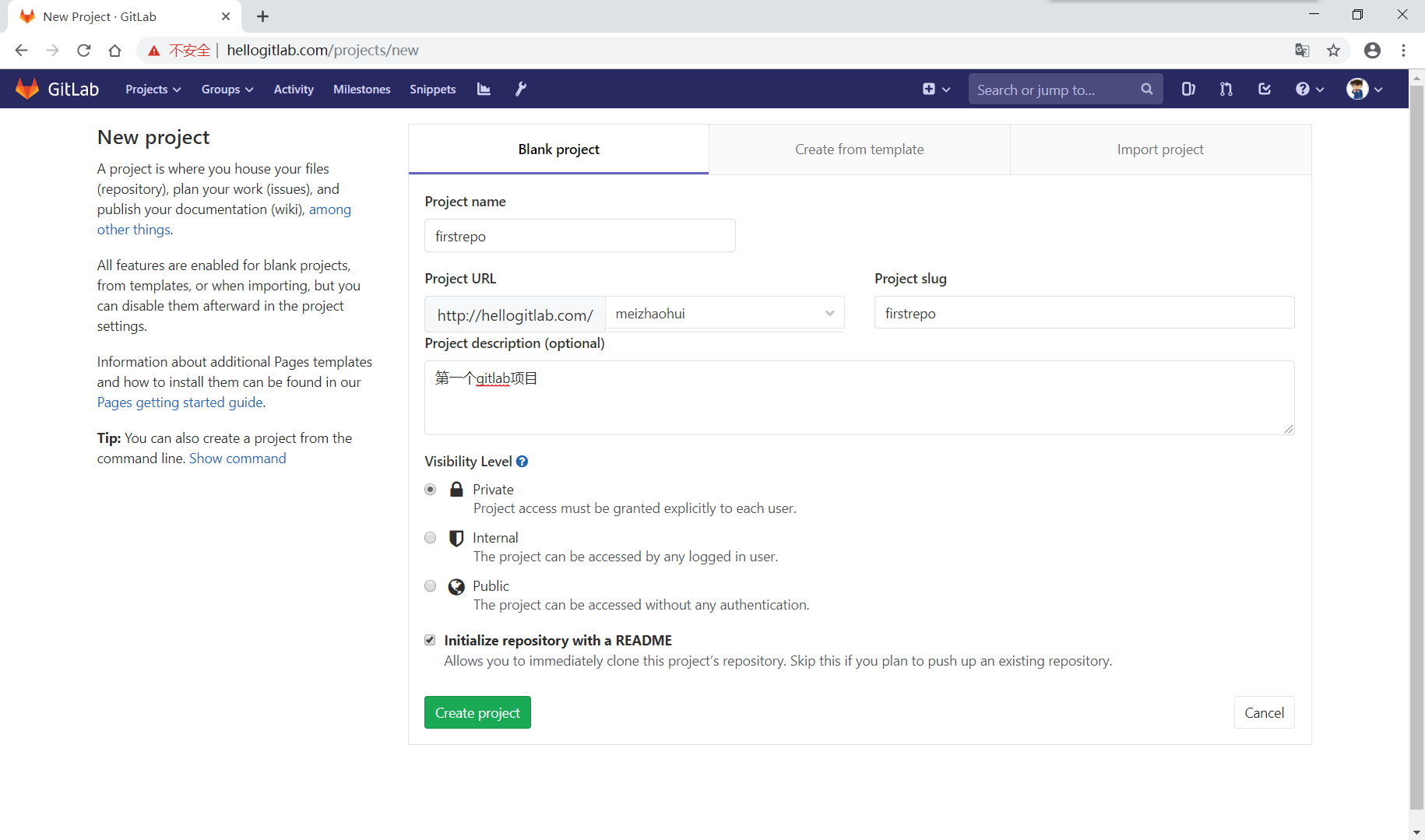 gitlab_domain_new_project.png