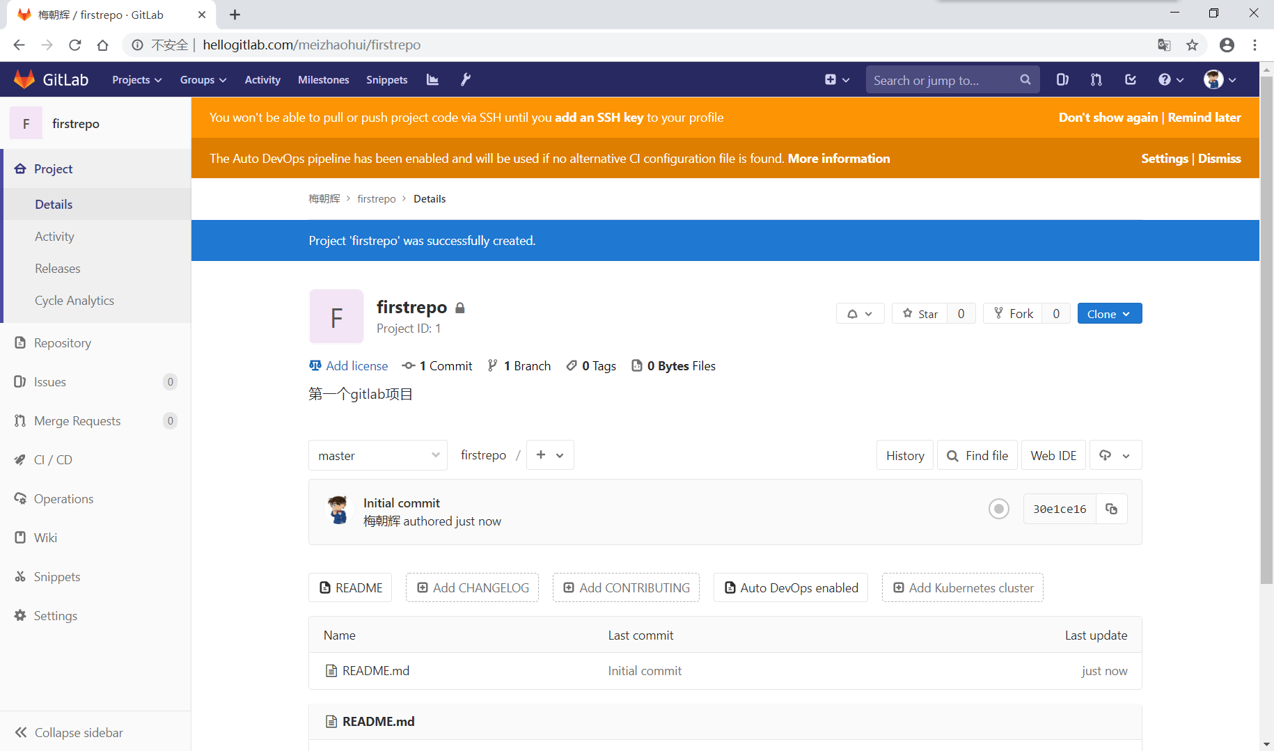 gitlab_domain_new_project_details.png