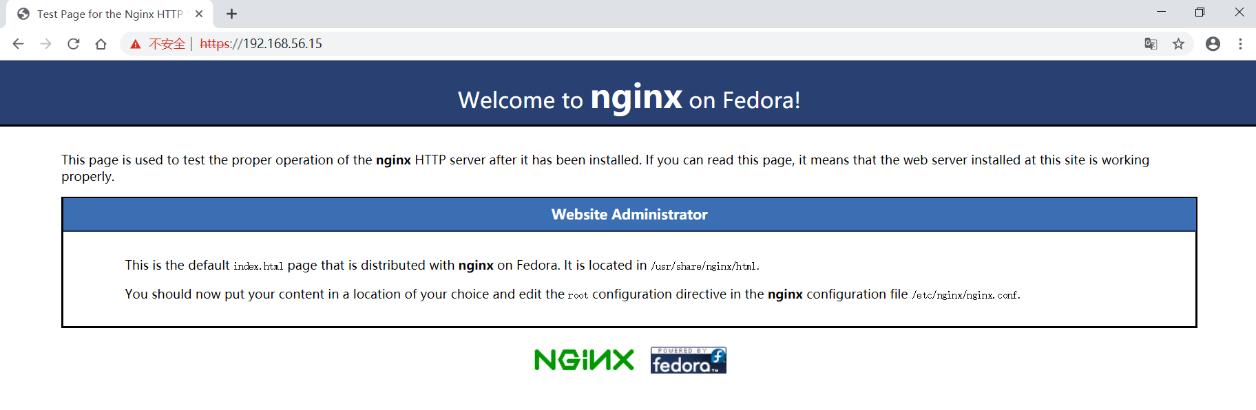 nginx_https_test.png